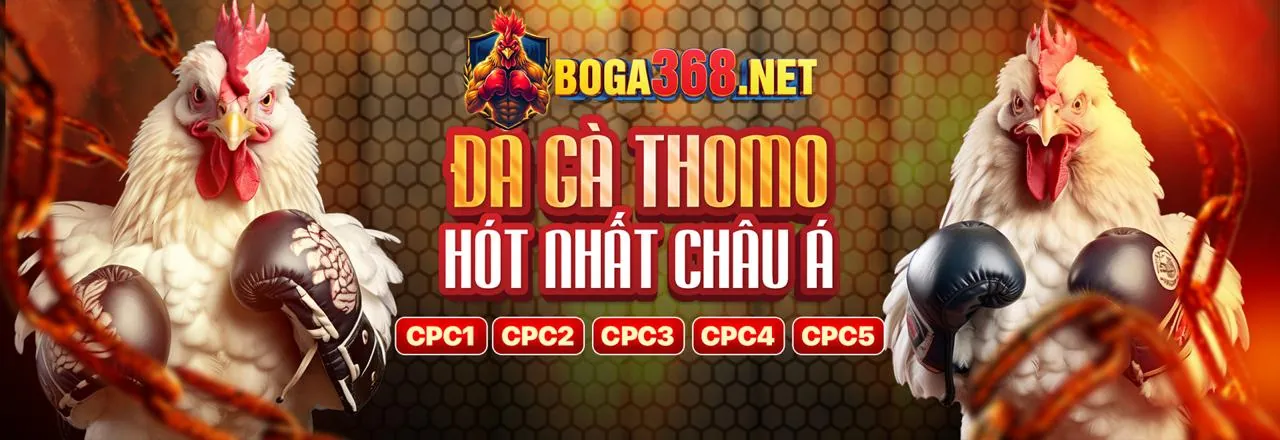 Biểu tượng cá cược di động mb66b app